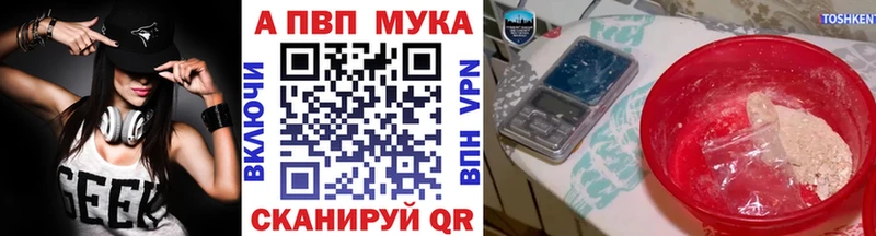 как найти Шали Alpha PVP СК КРИС