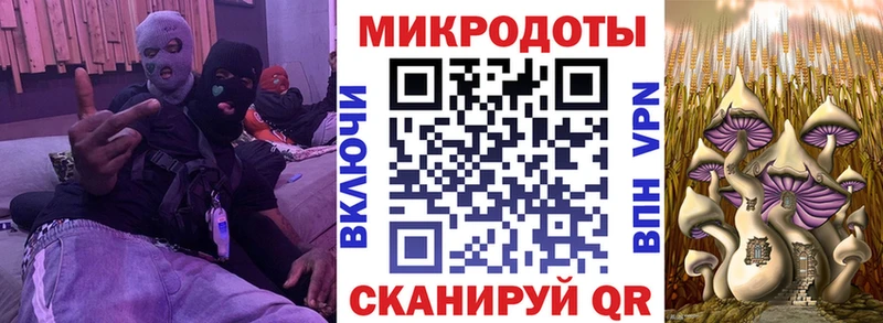 нарко площадка клад  Шали  Галлюциногенные грибы GOLDEN TEACHER 